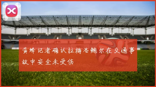 黄蜂记者确认拉梅洛鲍尔在交通事故中安全未受伤