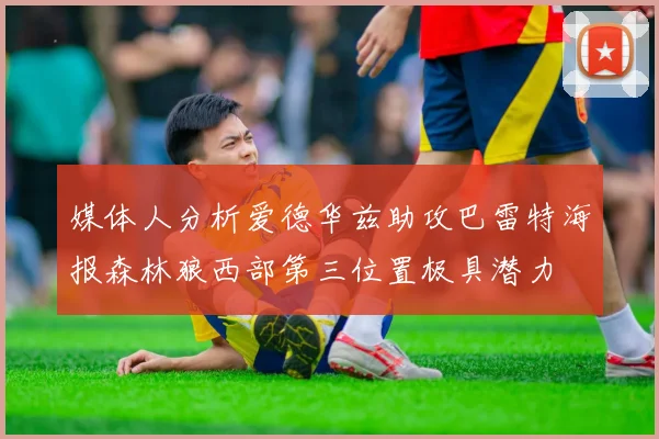 媒体人分析爱德华兹助攻巴雷特海报森林狼西部第三位置极具潜力